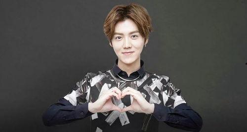 娱乐圈吃瓜鹅鹿晗